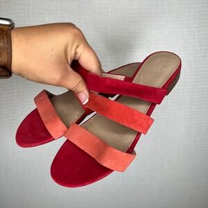 Alex + Alex Red Suede Leather Strappy Block‎ Heel Sandals Women's Shoes